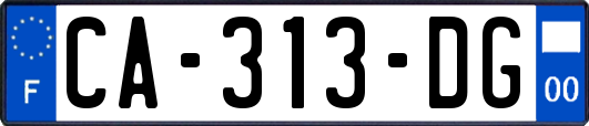 CA-313-DG