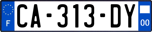 CA-313-DY