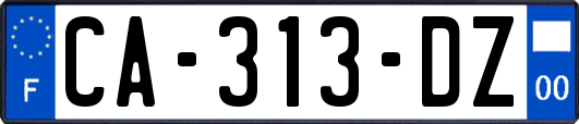 CA-313-DZ