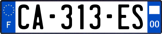 CA-313-ES