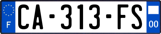 CA-313-FS