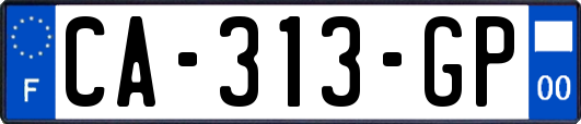 CA-313-GP