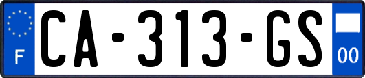 CA-313-GS