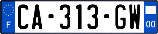 CA-313-GW