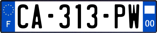 CA-313-PW