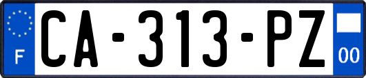 CA-313-PZ