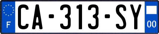 CA-313-SY