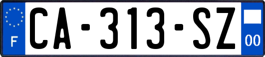 CA-313-SZ