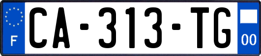 CA-313-TG