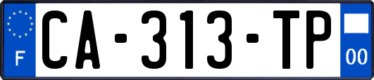 CA-313-TP