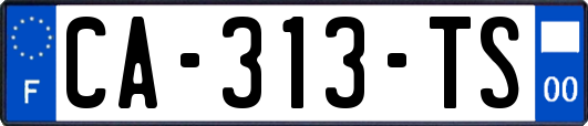 CA-313-TS