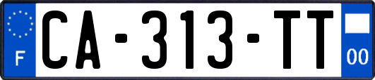 CA-313-TT