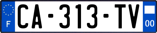 CA-313-TV