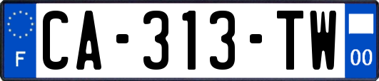 CA-313-TW