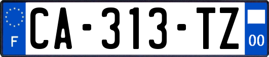 CA-313-TZ