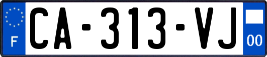 CA-313-VJ