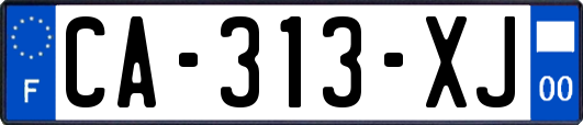 CA-313-XJ