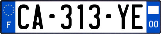 CA-313-YE