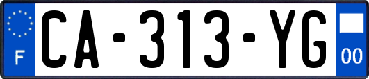 CA-313-YG