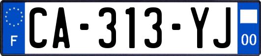 CA-313-YJ