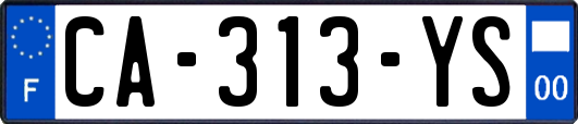 CA-313-YS