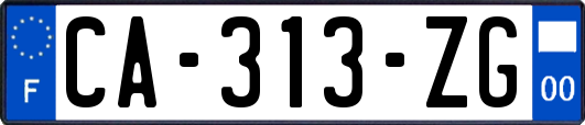 CA-313-ZG