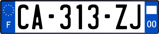 CA-313-ZJ