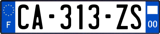 CA-313-ZS