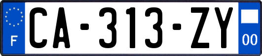 CA-313-ZY