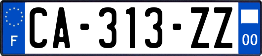 CA-313-ZZ