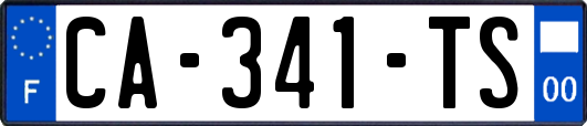 CA-341-TS