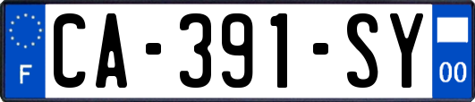 CA-391-SY