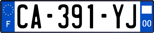 CA-391-YJ