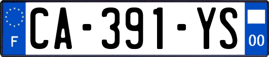 CA-391-YS