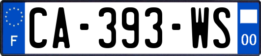 CA-393-WS