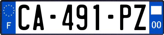 CA-491-PZ