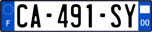 CA-491-SY