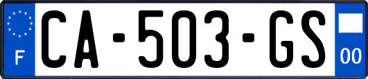 CA-503-GS