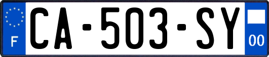 CA-503-SY