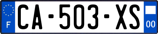 CA-503-XS