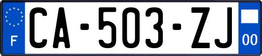 CA-503-ZJ