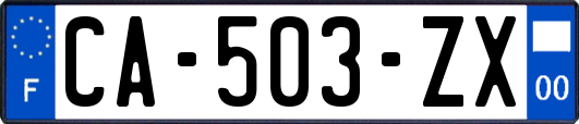 CA-503-ZX