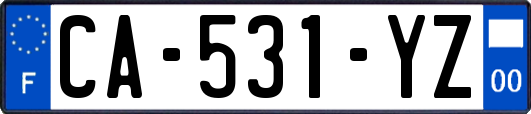 CA-531-YZ