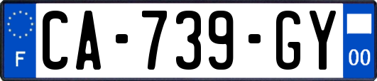 CA-739-GY