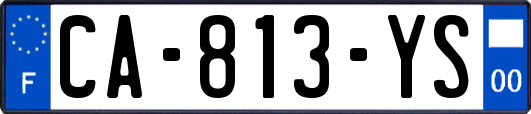 CA-813-YS