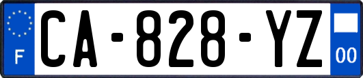 CA-828-YZ
