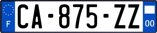 CA-875-ZZ