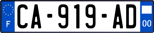 CA-919-AD