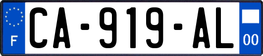 CA-919-AL