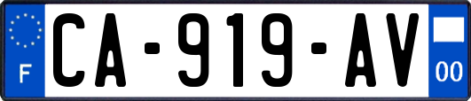 CA-919-AV